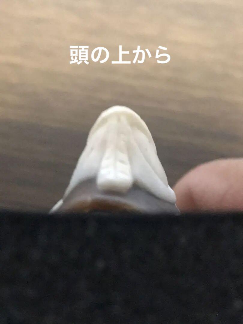 カメオピンブローチ