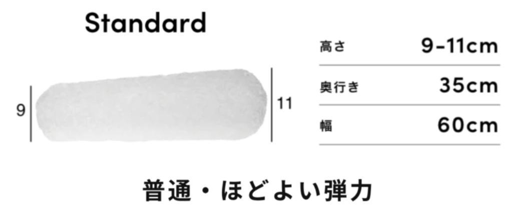 ブレインスリープピロー　STANDARD　ピローカバー（アクティブエア）つき