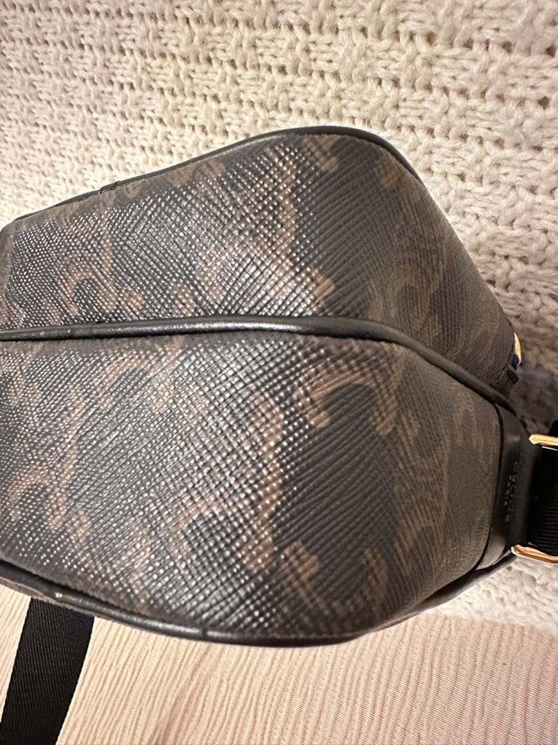★週末限定セール★【極美品】CELINE トリオンフ　ショルダーバッグ