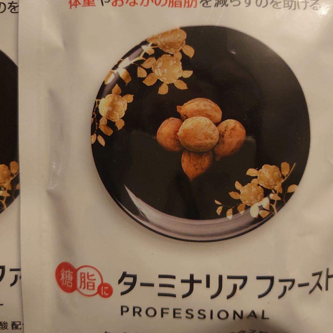 ビタブリッド ターミナリアファースト 120粒×2点 グルメサプリ 〉ターミナリアファーストで食事を愉しむ｜ビタ