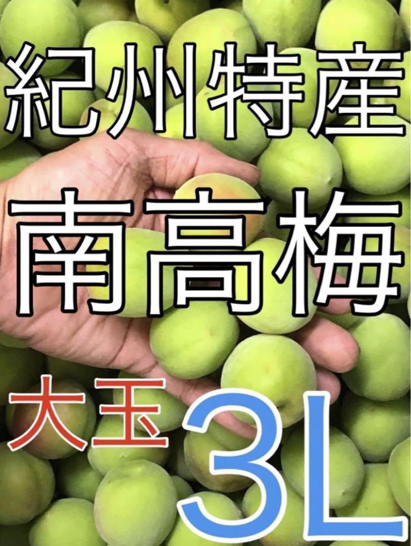 2911青梅「紀州の南高梅」大玉3L3kg 和歌山産　キルトパッチ梅店