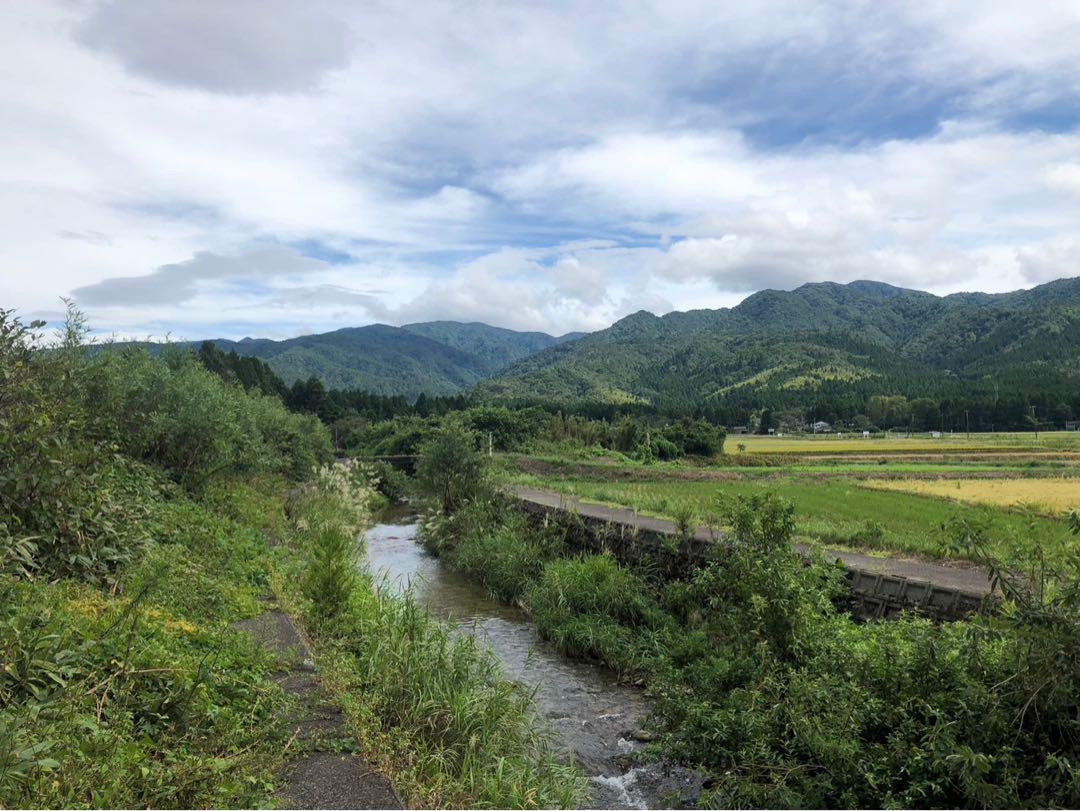 新潟県産コシヒカリ新米30㌔玄米　特別栽培米