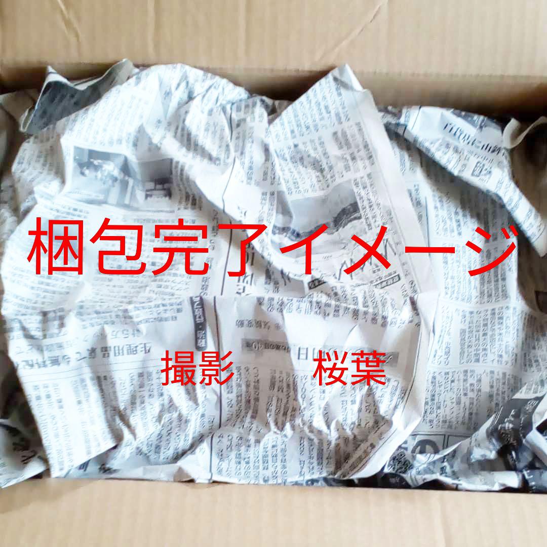 ガンプラ mg ザクキャノン　ユニコーンカラーver. 内袋未開封　箱傷み有
