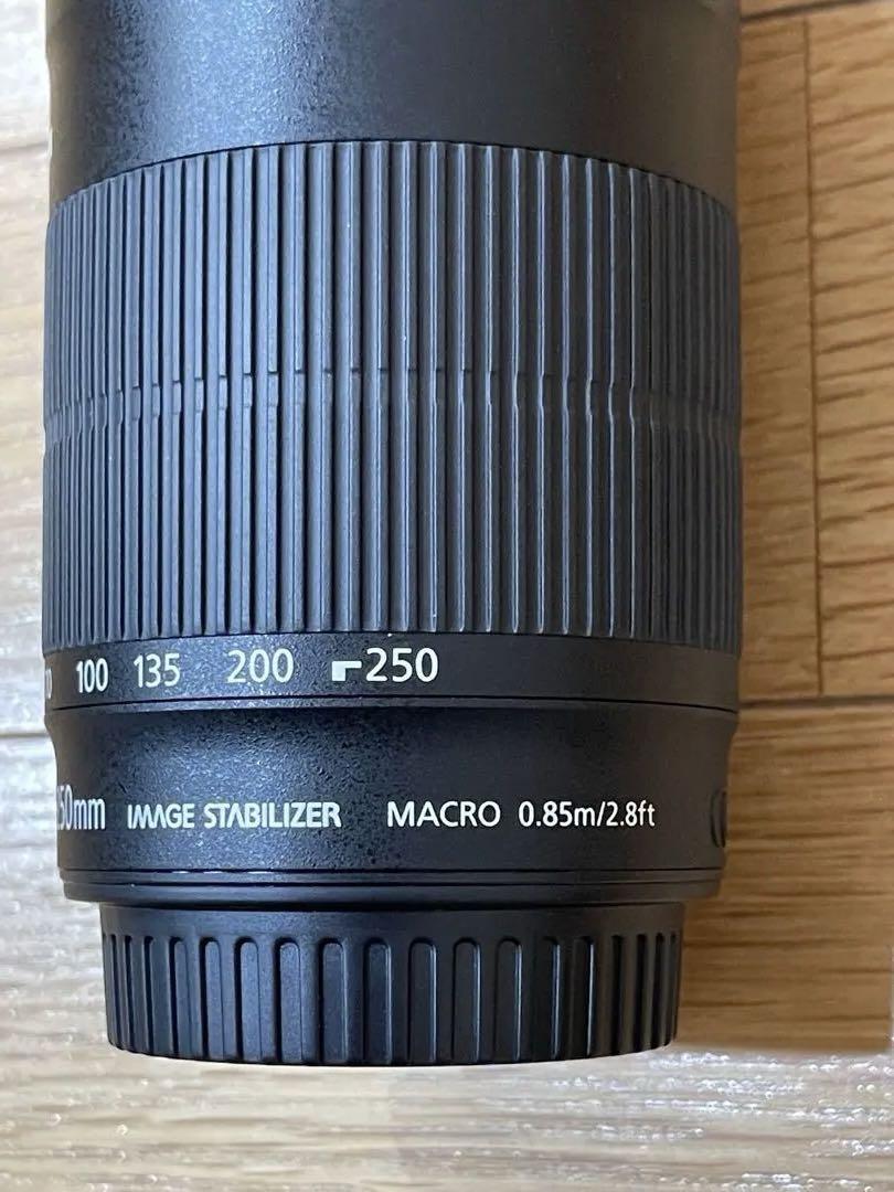 Canon EF-S 55-250mm f/4.5-5.6 STM 望遠