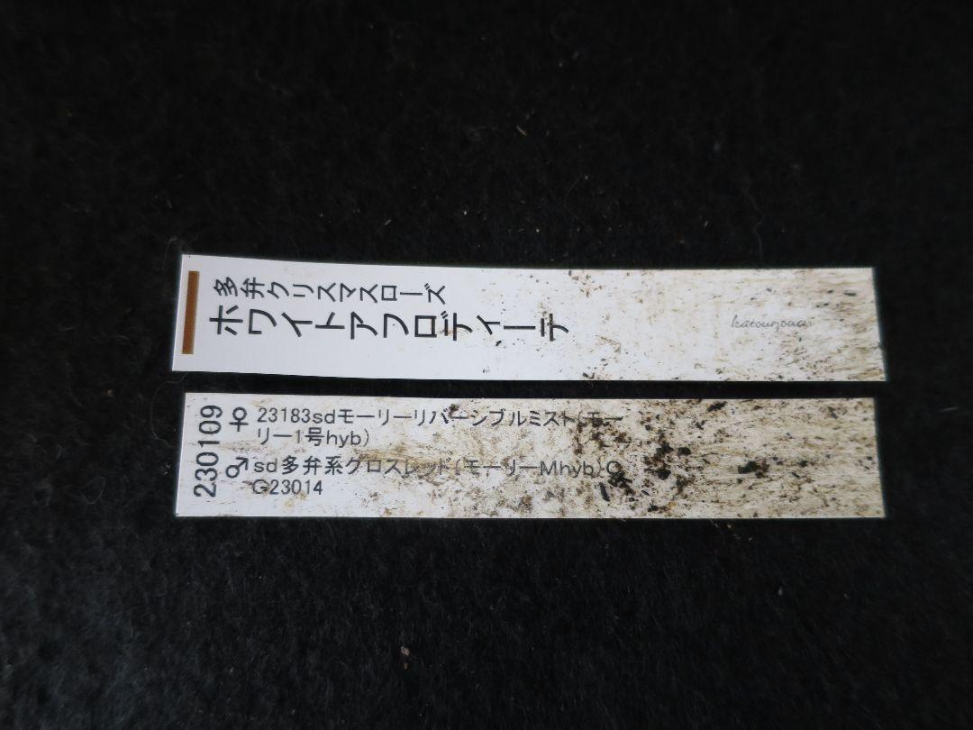 加藤農園