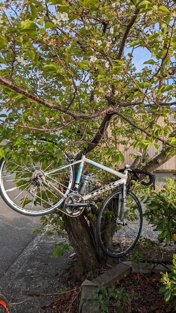 TREK アルファ2.1
