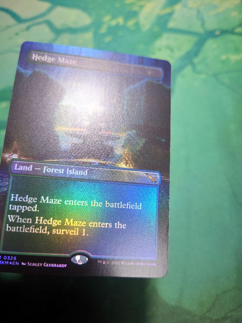 Hedge Maze 迷路庭園 フルアートFoil 英語