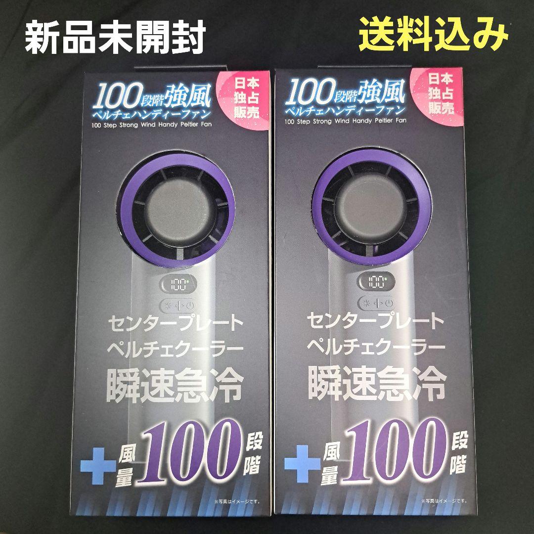 100段階強風　ペルチェハンディファン　2点セット