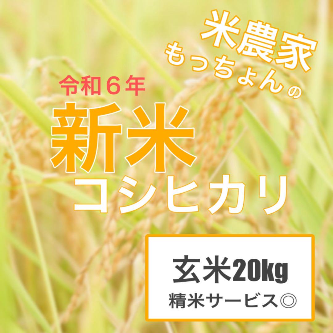 高知県産　新米コシヒカリ　農薬不使用
