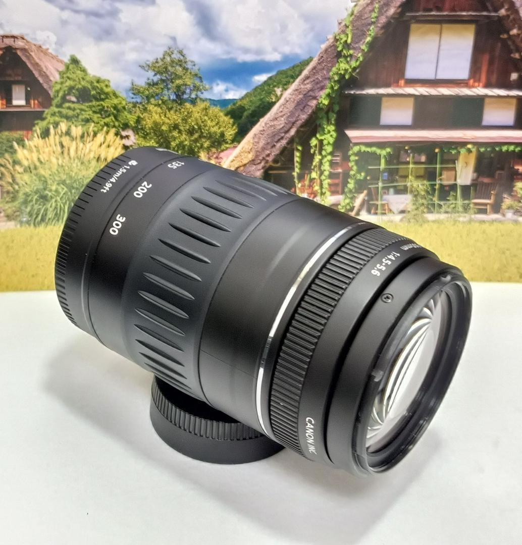 激安通販専門店キヤノン 望遠レンズ Canon キャノン EF90-300mm 想い出
