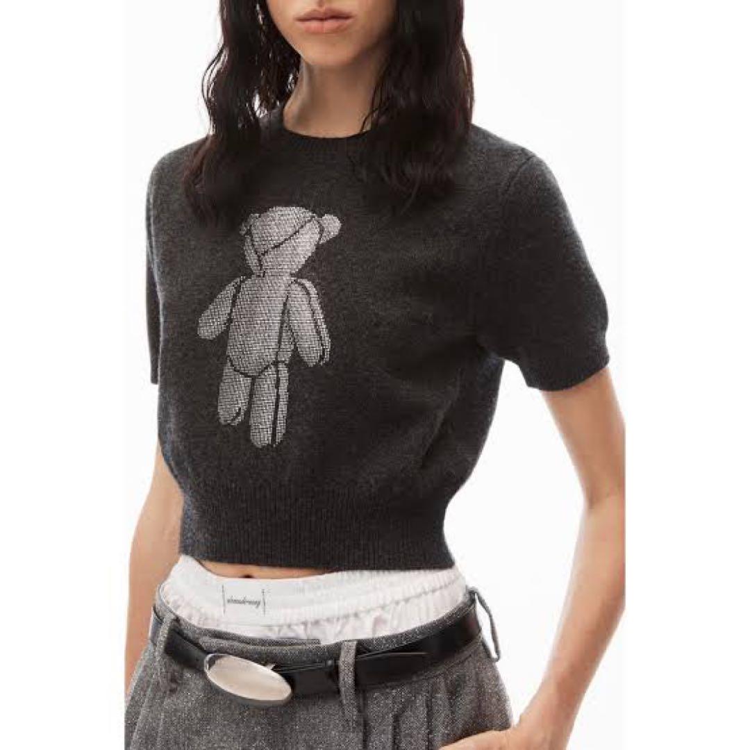 ALEXANDER WANG beiress ショートスリーブクルーネック ALEXANDER WANG beiress ショートスリーブクルーネック - メルカリ