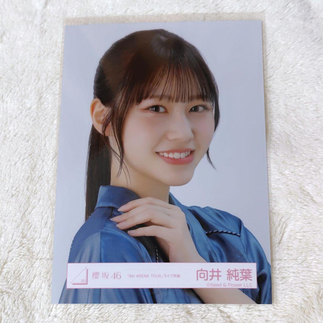 櫻坂46 向井純葉　生写真　直筆　サイン2023クリスマス衣装(ヨリ) 櫻坂46 向井純葉 生写真 直筆 サイン2023クリスマス衣装(ヨリ