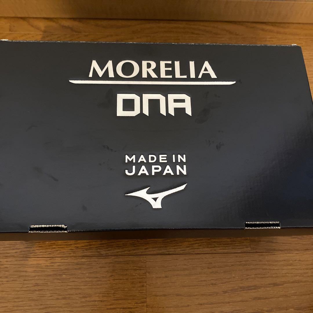 モレリアDNA