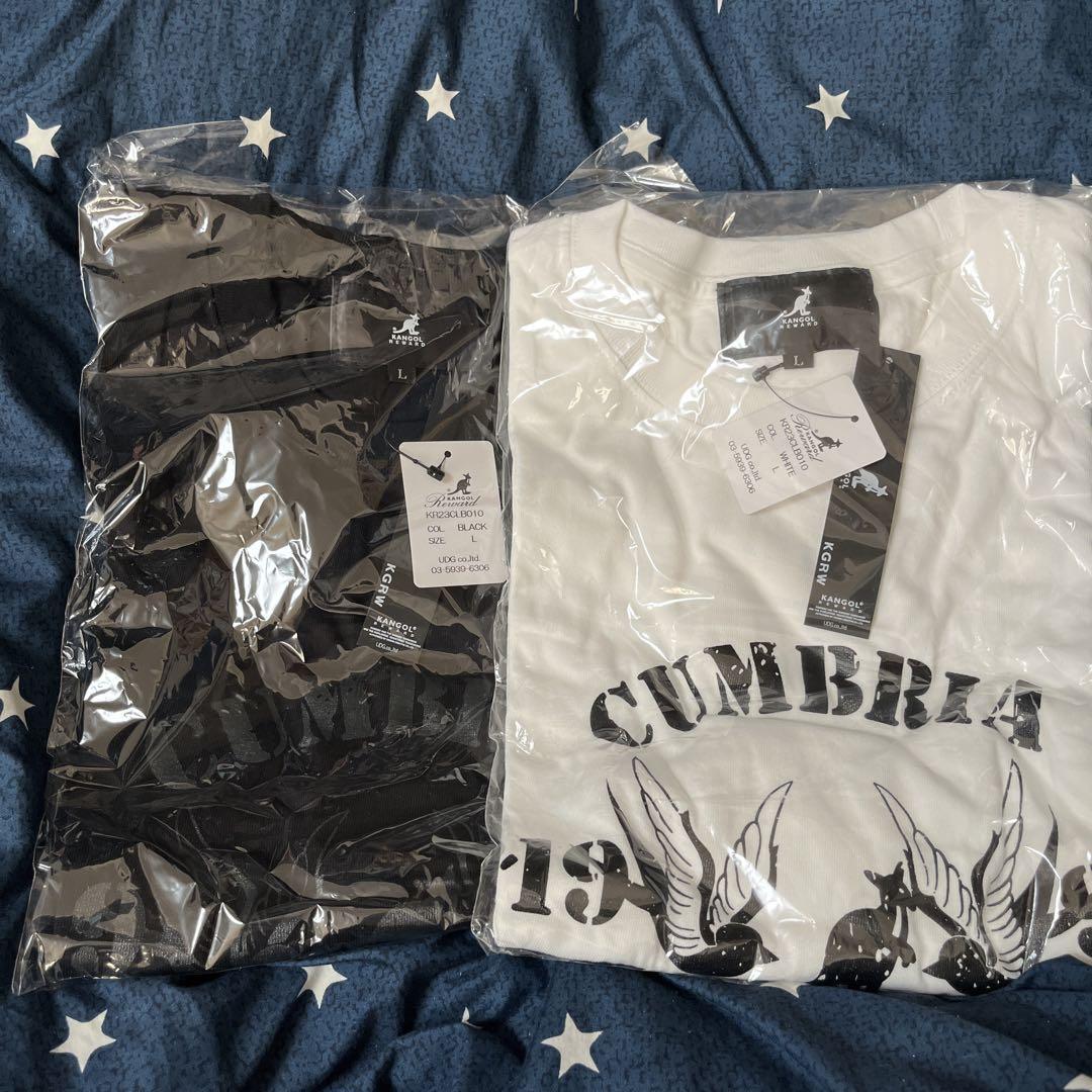 伊藤健太郎 CUMBRIA 1997 Tシャツ Lサイズ ホワイト・ブラック