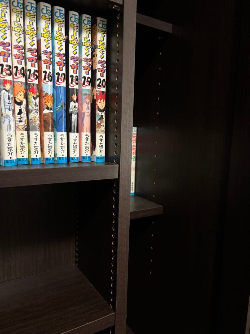 ニトリ　飾れるディスプレイ扉付きスライド書棚　大型タイプ