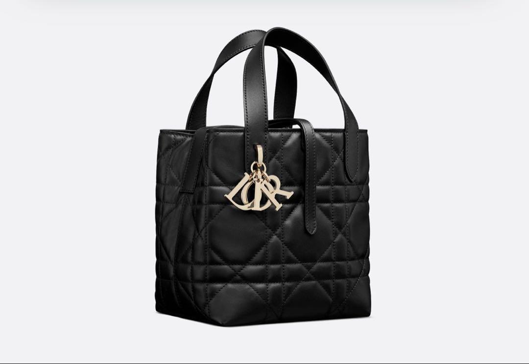 Diorトゥジュールスモールバッグ