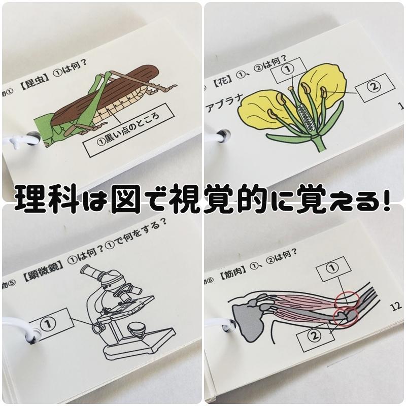 074】‼️中学受験理科 化学・地学・生物・物理マスターセット