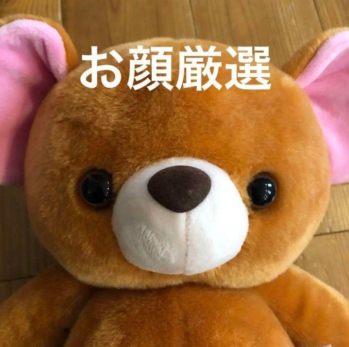新品 ピーターパン　マイケル　テディベア　ぬいぐるみ　くま　ディズニーストア