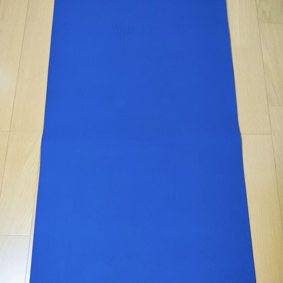 【希少】ファイテン メタックスシート ヨガマット 専用バッグ付 ピラティス