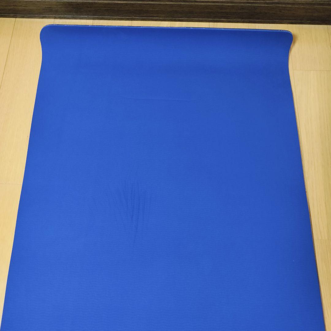 【希少】ファイテン メタックスシート ヨガマット 専用バッグ付 ピラティス