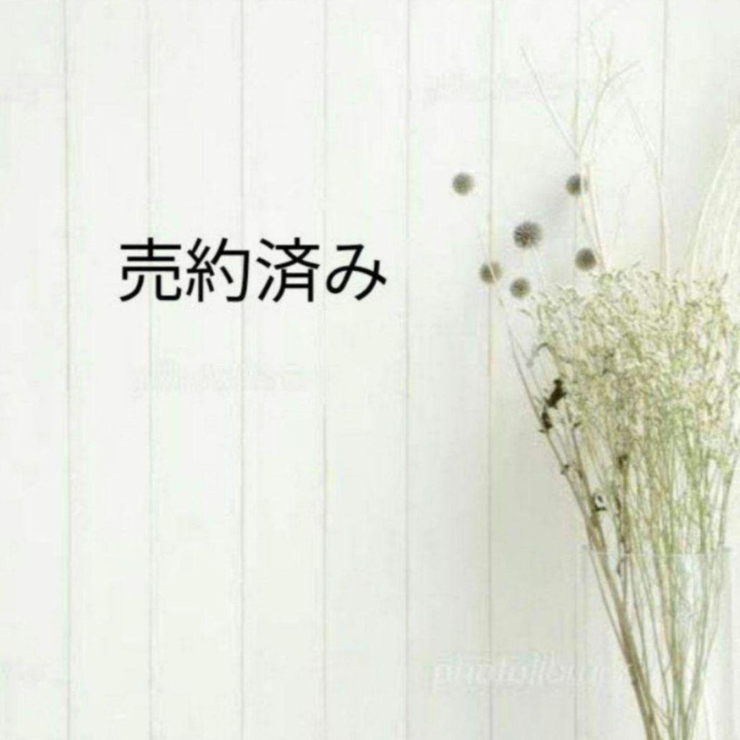 dino 様 です