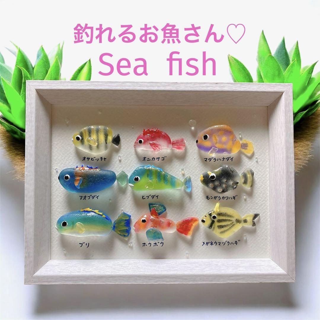 シーグラスアート❣️海水魚 釣れるお魚シリーズ お魚立体図鑑