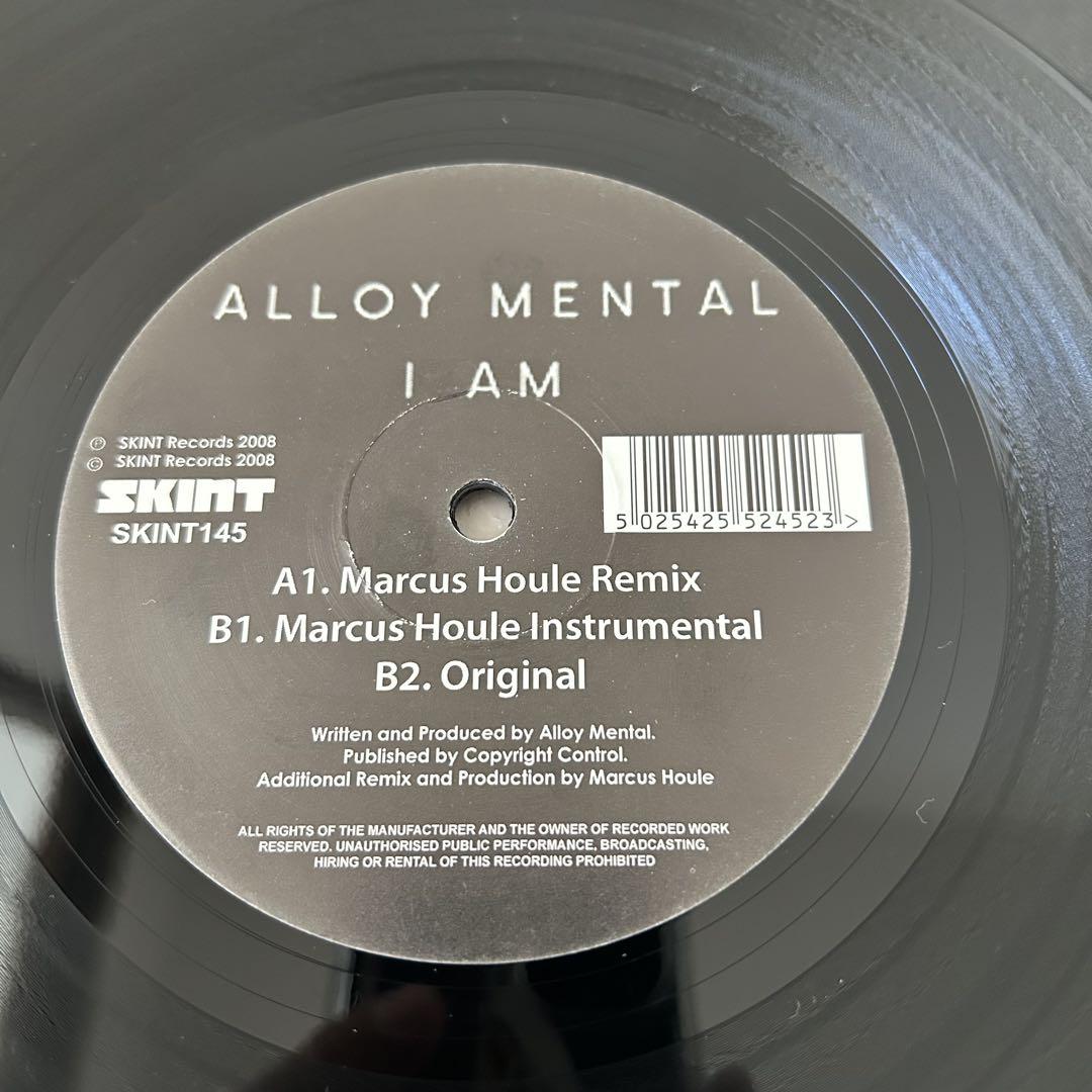 Alloy Mental / I AM 12インチレコード