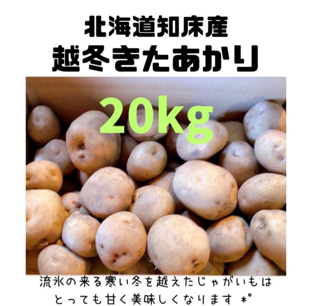 【雪室貯蔵⠀】北海道知床産 越冬きたあかり 混玉20kg