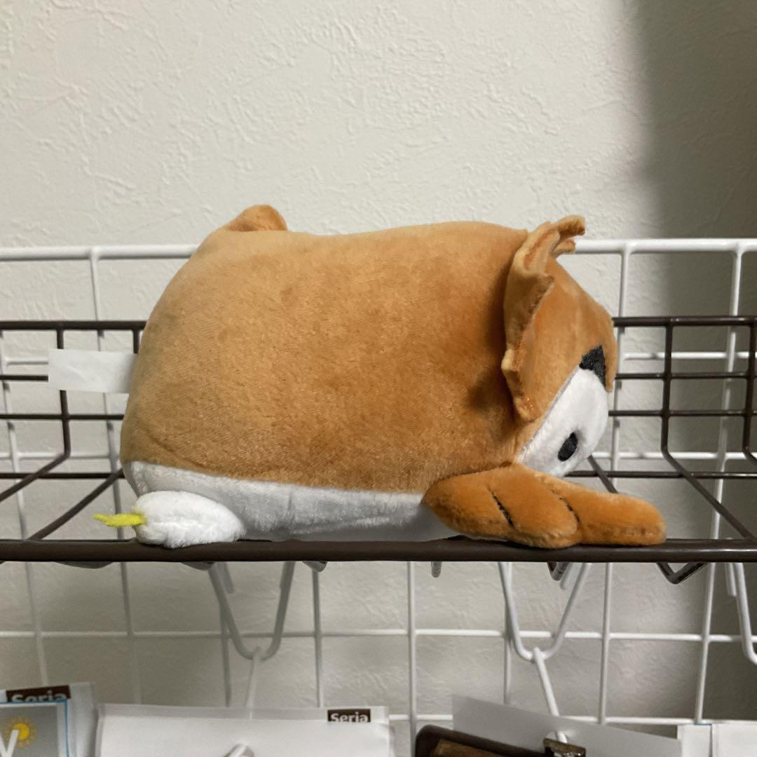 ハイキュー だるぬい 赤葦フクロウ