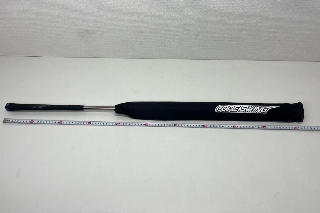美品 Tabata タバタ 藤田コアスイング CORESWING ゴルフ 練習器