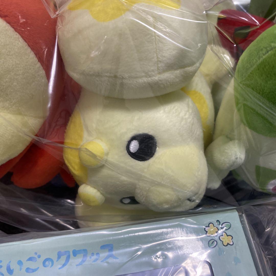 ポケセンオンライン〜ピカピカボックス 2025 24時間以内発送⭕️