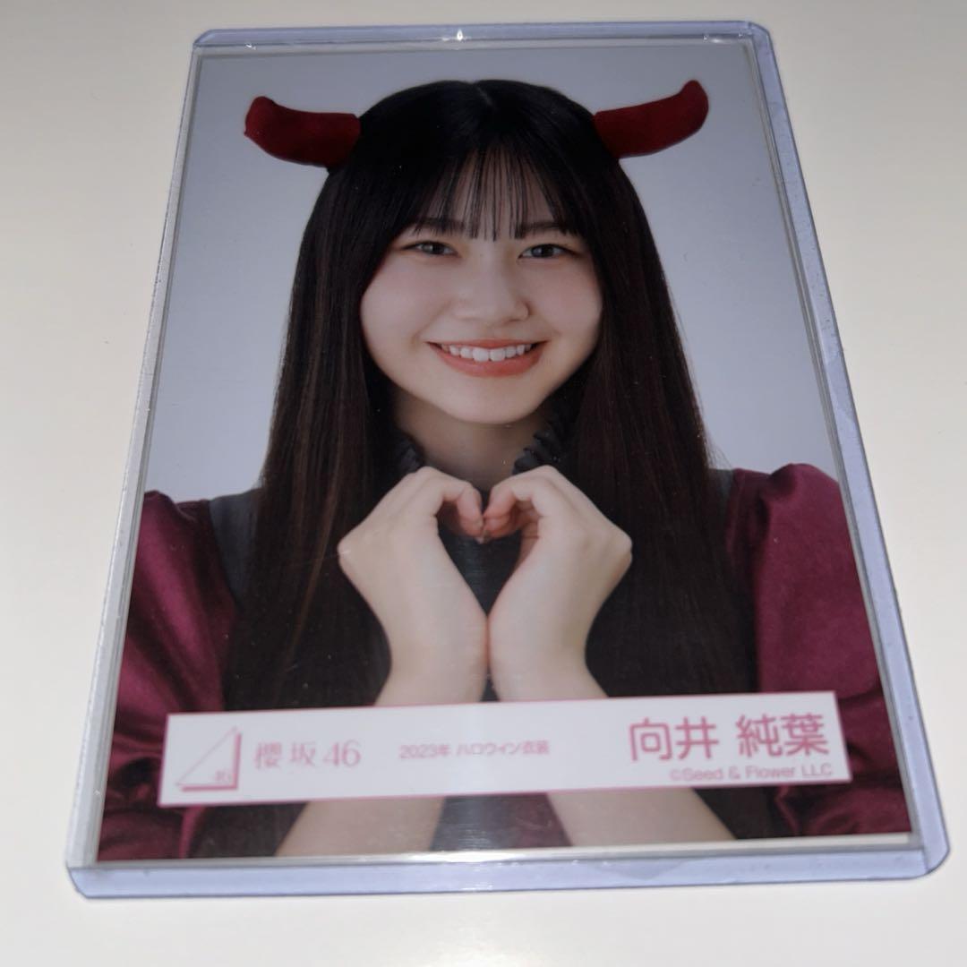 櫻坂46 向井純葉 直筆 生写真 クリスマス衣装2023 ヨリ 櫻坂46 向井純葉 生写真 直筆 サイン2023クリスマス衣装(ヨリ)