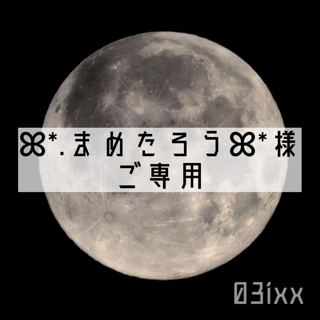 ꕤ*.まめたろうꕤ*様ご専用 盛塩オルゴプチ40点 オルゴナイトペンダント2点