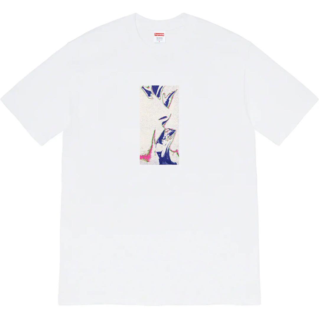 Supreme アートプリント Tシャツ ホワイト