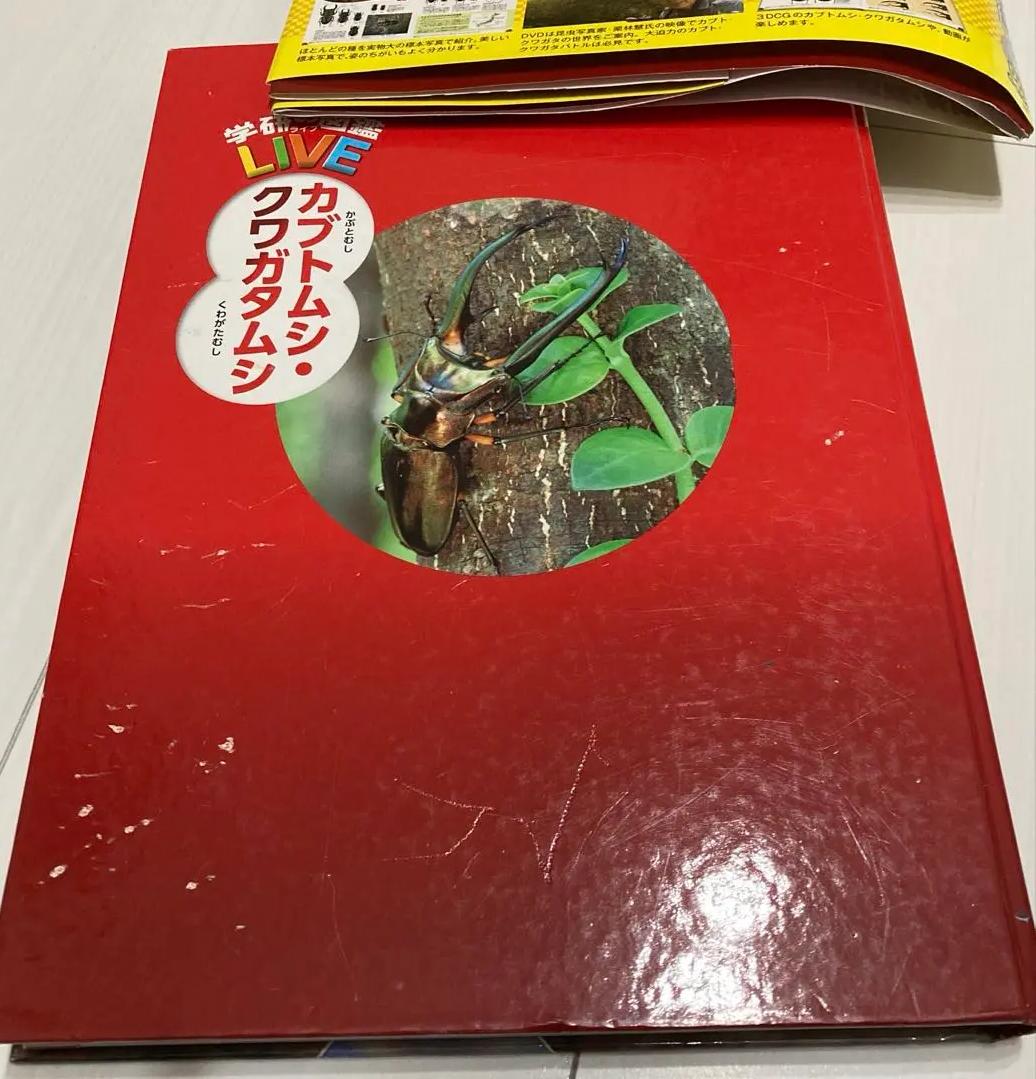 NJ TG 学研の図鑑 カブトムシ・クワガタムシ VN WI