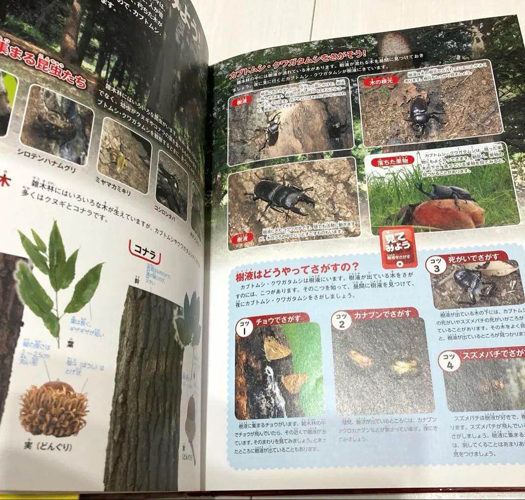 NJ TG 学研の図鑑 カブトムシ・クワガタムシ VN WI