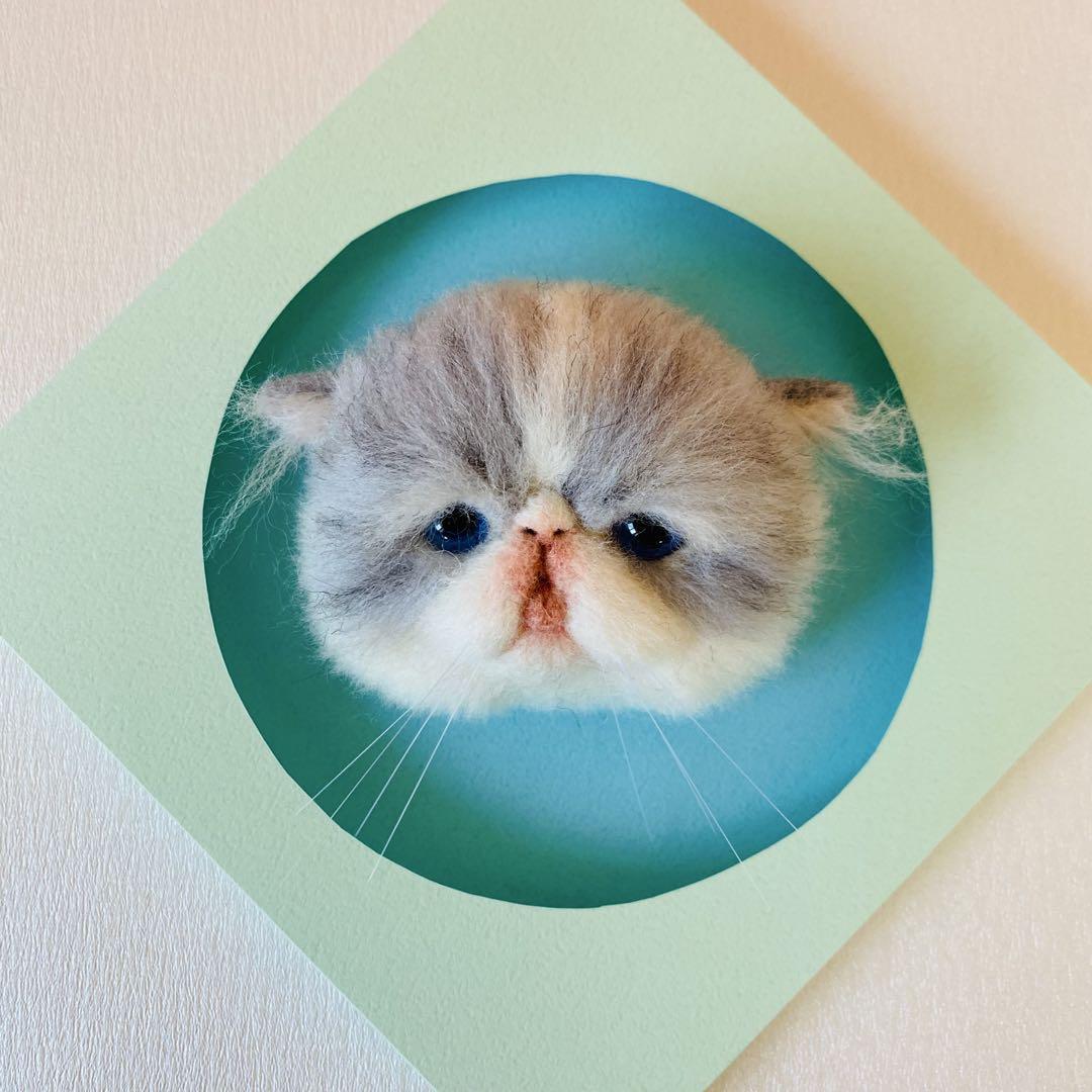 羊毛フェルト猫ブローチ　リアル可愛いエキゾチックショートヘアーの子猫ちゃん