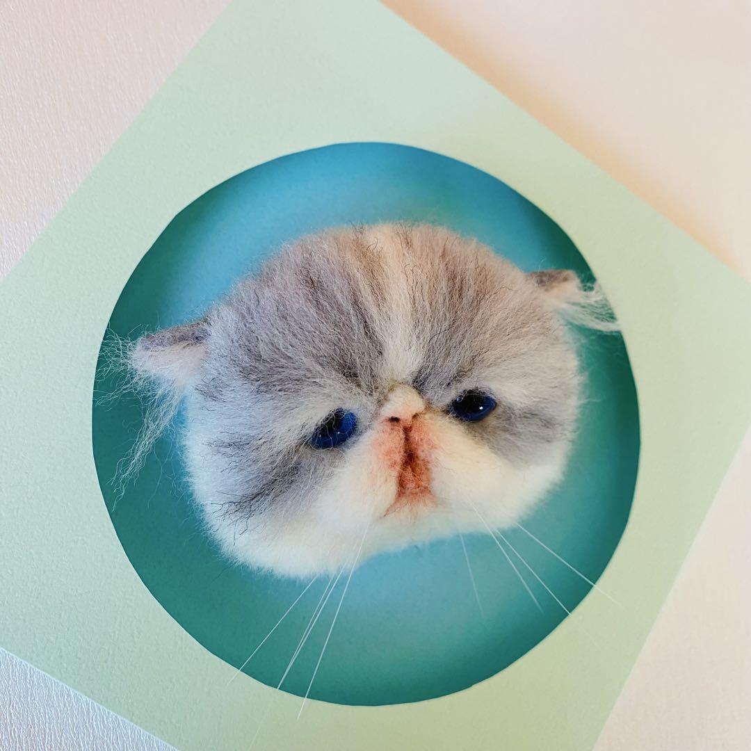 羊毛フェルト猫ブローチ　リアル可愛いエキゾチックショートヘアーの子猫ちゃん