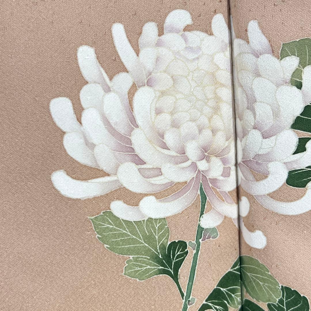 付下げ・名古屋帯セット　着物