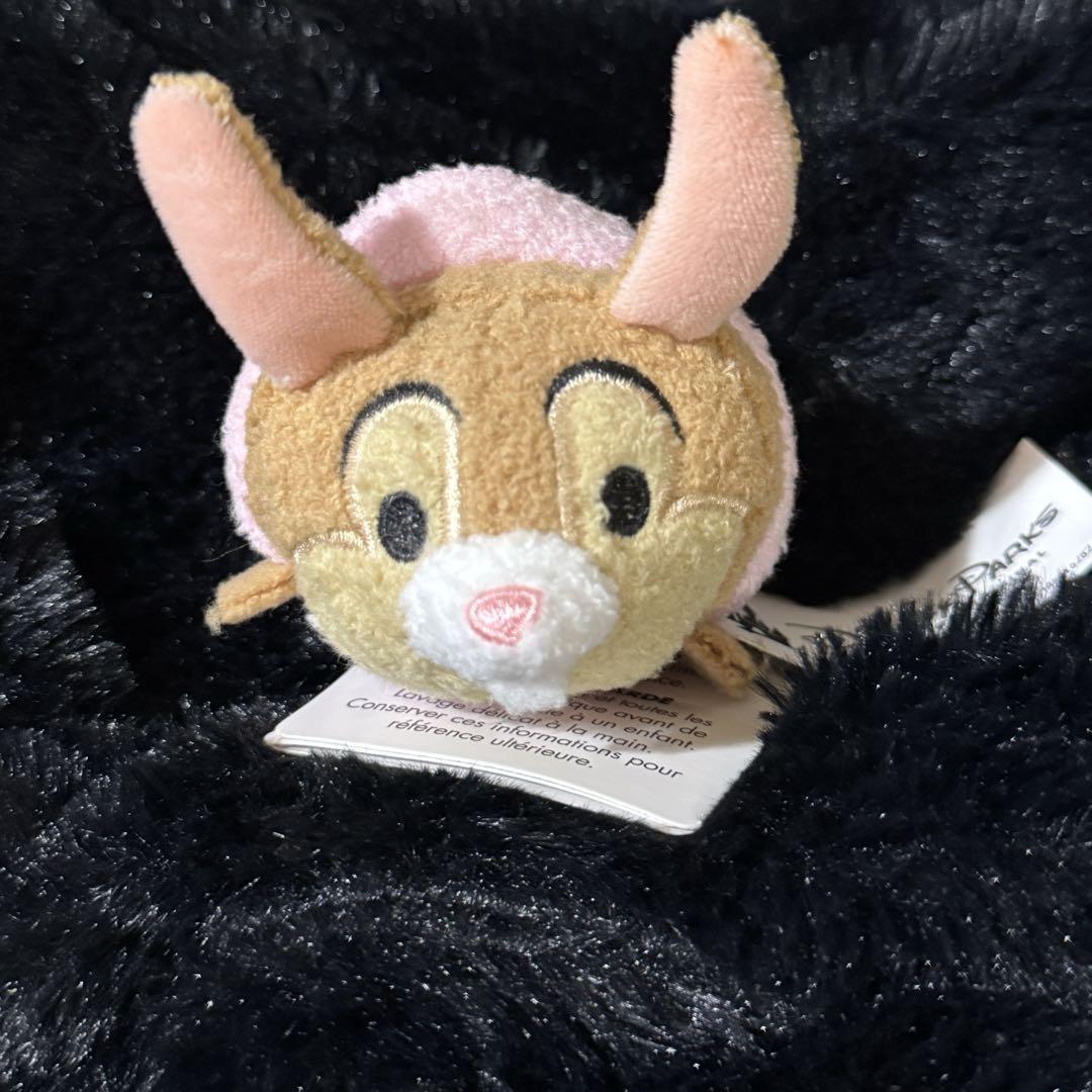 うさぎどん　ぬいぐるみ　ブレアラビット　ディズニー　スプラッシュマウンテン スプラッシュマウンテン うさぎどん ぬいぐるみ アトラクション