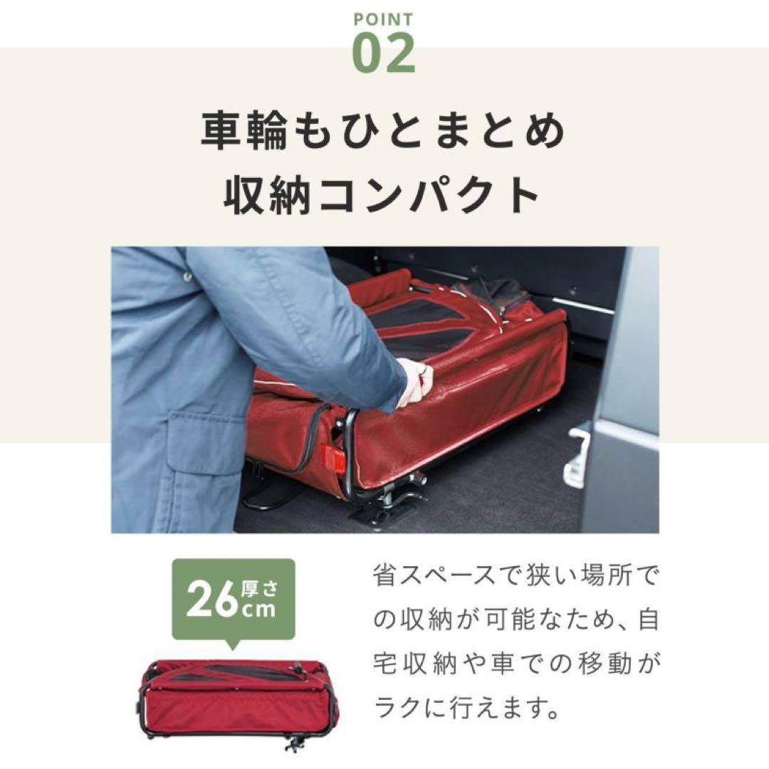 AIRBUGGY