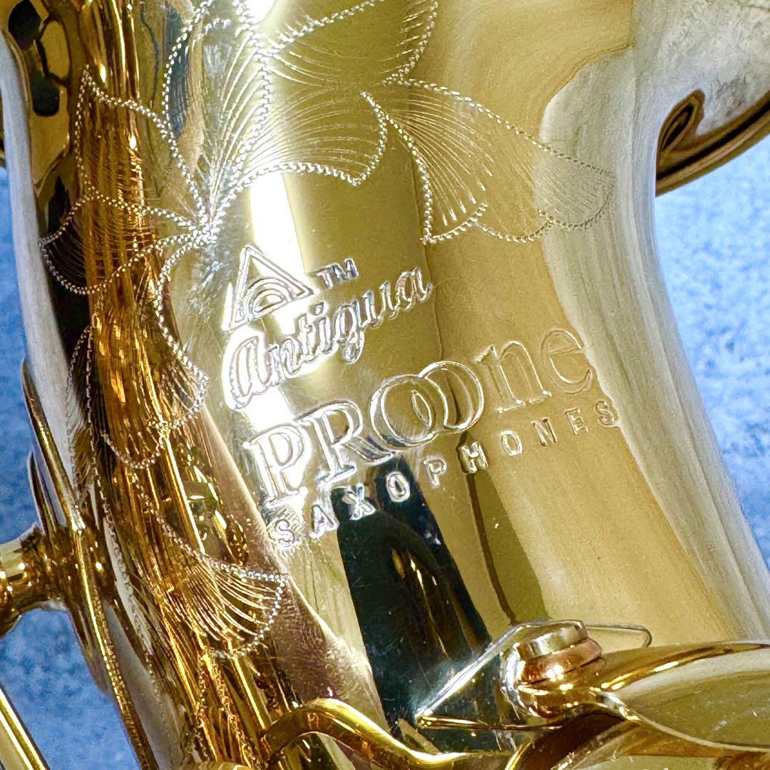 最上位モデル】Antigua Pro One AS6200 アルトサックス - メルカリ