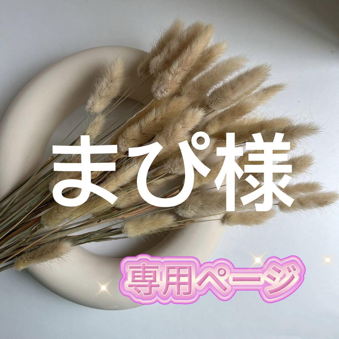 まぴ様専用ページ