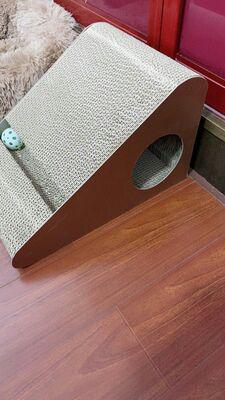 猫の爪磨り器は猫の爪磨りに耐え、猫は猫のおもちゃを持ち上げる