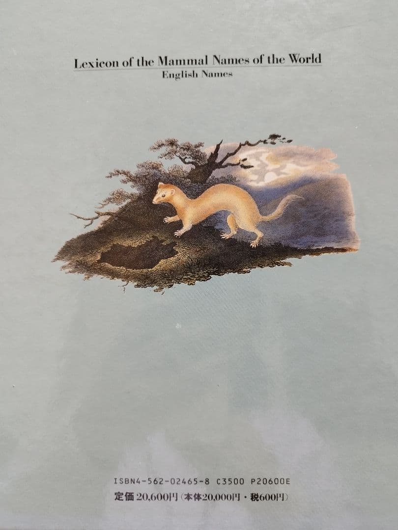 世界哺乳類名類名検索辞典 世界哺乳類名類名検索辞典