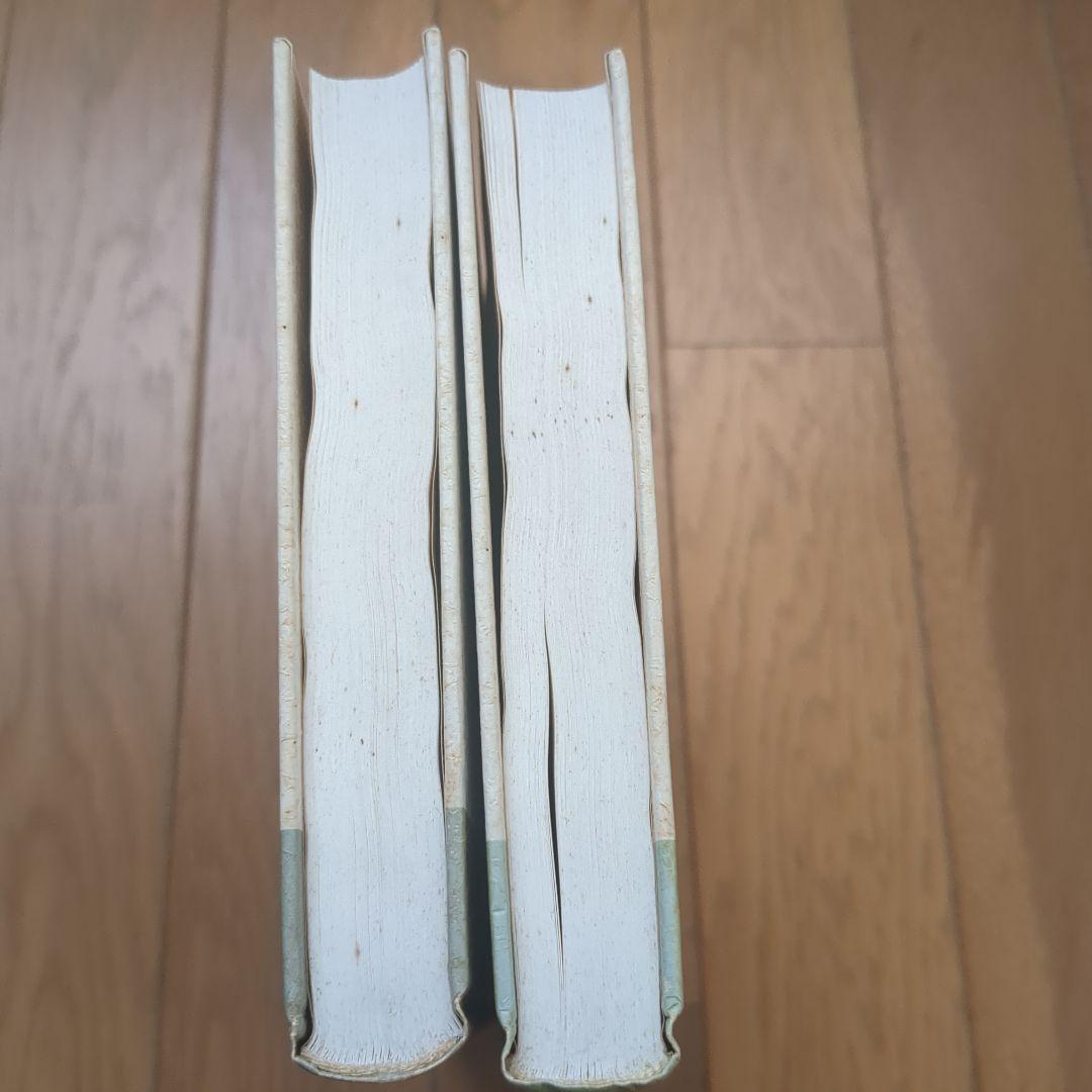 ハンナ・アーレント 精神の生活 ハイデガー 政治学 哲学史