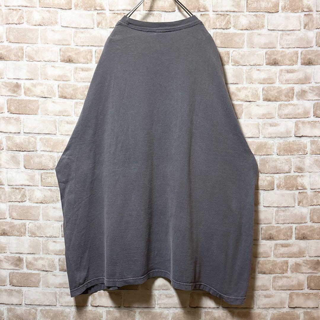☆シングルステッチ☆ COMFORT COLORS☆フィッシング☆オーバーサイズ