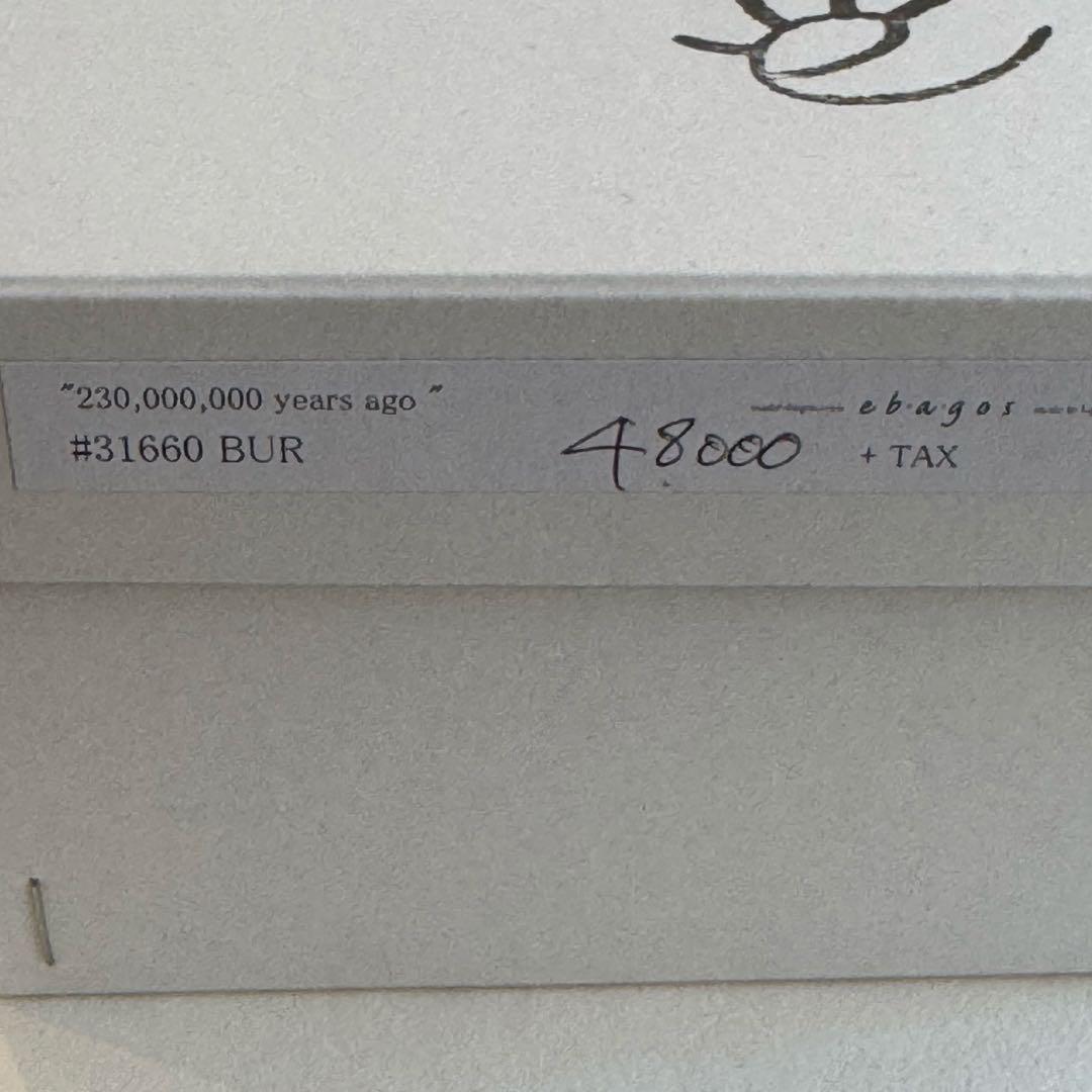 新品未使用　エバゴス　ウォレットショルダー　ワニ型押し　籐付き長財布 ブラウン