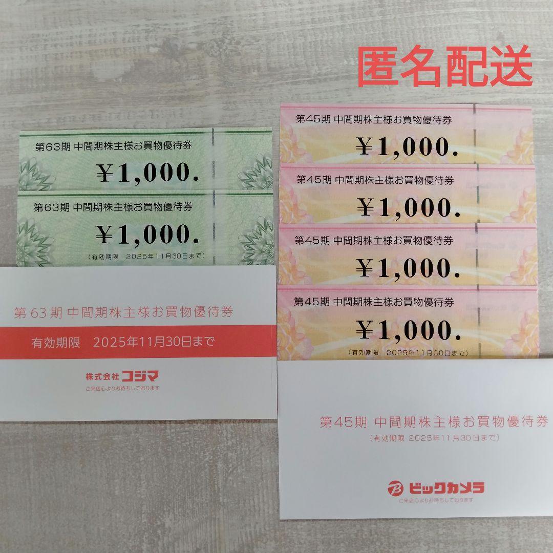 コジマ・ビックカメラ 株主優待券 6000円分