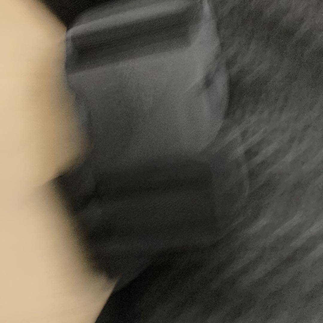 GREGORY ウエストバッグ